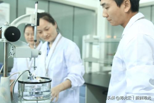 宏源防水 創新賦能，譜寫綠色建筑新篇章