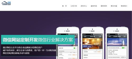 專業(yè)的軟件開(kāi)發(fā)技術(shù)團(tuán)隊(duì) 數(shù)字化時(shí)代的核心競(jìng)爭(zhēng)力